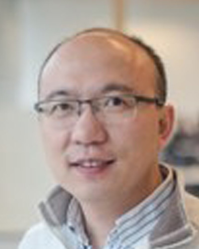 Xin_Yin