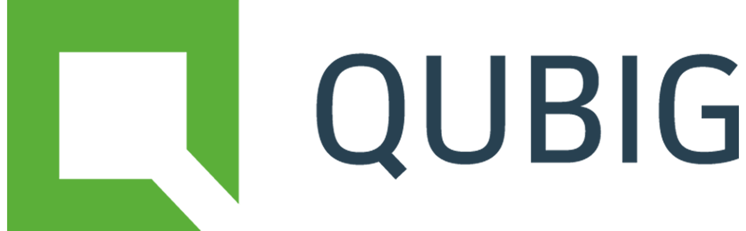 qubig_partners